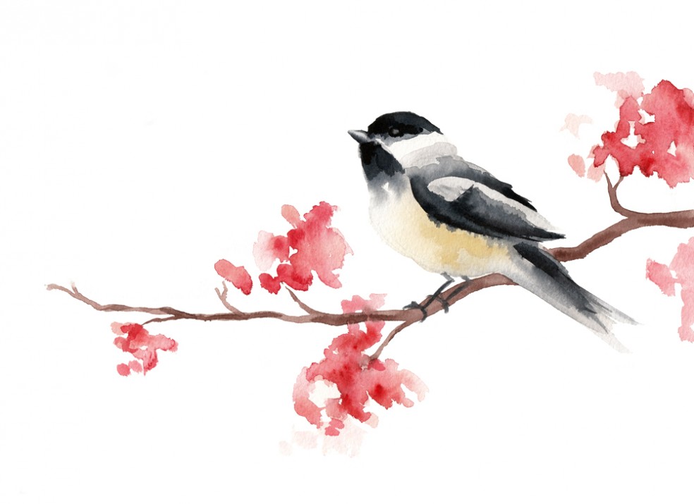 Chickadee | Watercolor Painting | Tracey Cameron Creative