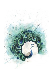 Circle Peacock | Tracey Cameron Creative