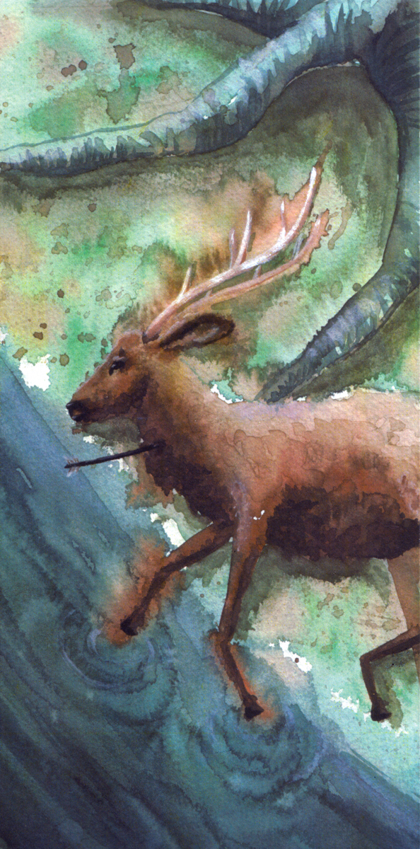 Dead Dear | Watercolor Painting | Tracey Cameron Creative