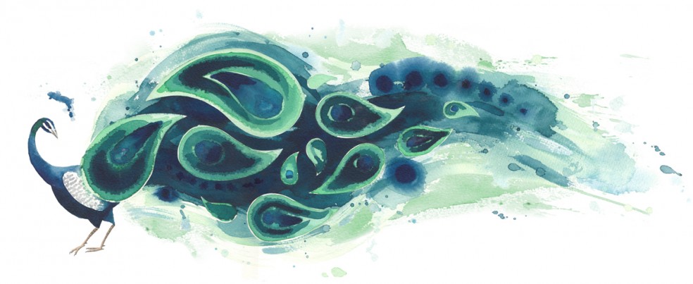 Horizontal Peacock | Tracey Cameron Creative