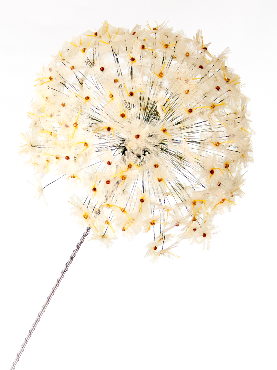 Light Yellow Allium Bloom Close Up | Fibre Sculpture | Tracey Cameron Creative