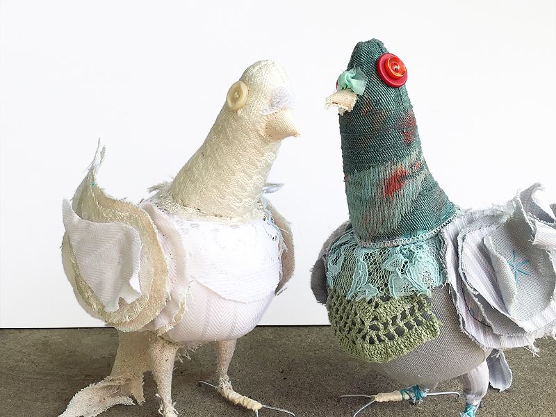 Dove vs Pigeon | Tracey Cameron Creative