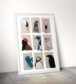 Bird Portraiture Print Framed | Tracey Cameron Creative