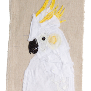 Cockatoo | Bird Portraiture Series | Tracey Cameron Creative